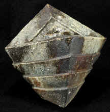 Hasu_Vase1a.jpg (111929 bytes)